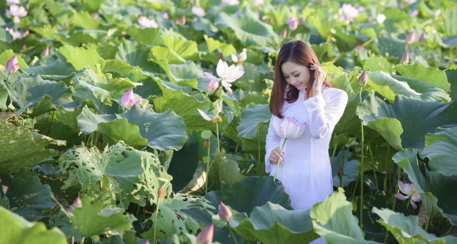 荷花海和我们之间闪烁在精神和现实世界创造了